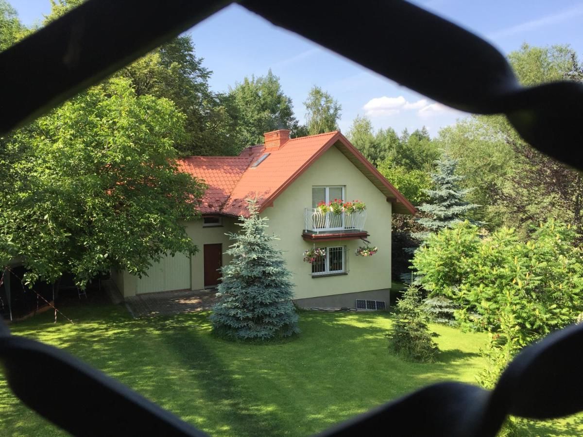 Дома для отпуска Holiday house EWA Meszna Opacka-4